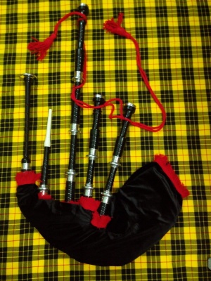 TC Scottish Bagpipe Highland Rosewood with cover