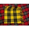 McLeod Of Lewis Tartan Kilt Fly Plaid